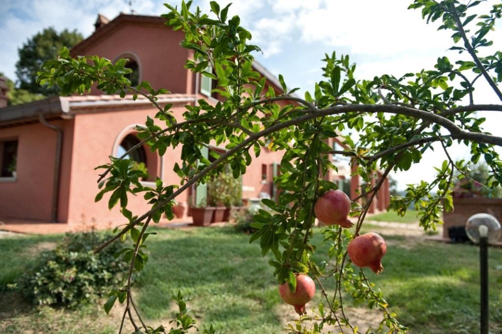 Podere Chiaromonte Palaia Extérieur photo